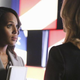Image for article titled Scandal: "More Cattle, Less Bull"